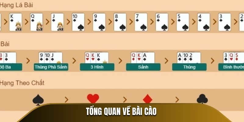 Tổng quan về Bài Cào